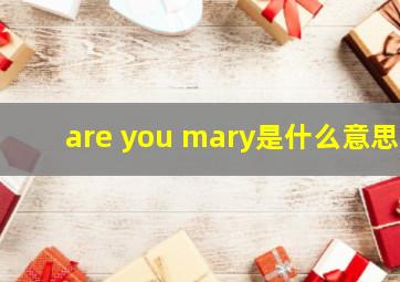 are you mary是什么意思